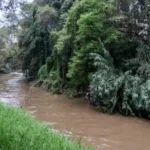 Gobierno pone en riesgo a la población por falta de transparencia y censura de información científica sobre contaminantes en la Cuenca del Alto Atoyac.