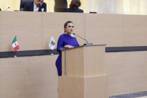 Delfina Pozos propone diagnóstico obligatorio al inicio de cada gestión