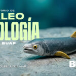 Laboratorio de Paleobiología de la BUAP, evidencia de vida del pasado para interpretar el presente y vislumbrar un futuro