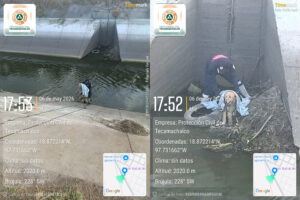 Protección Civil de Tecamachalco rescatan a perrito en dren de Valsequillo