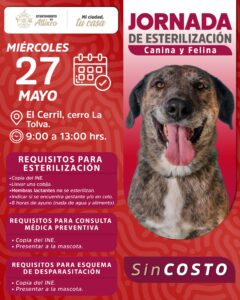 Amar es esterilizar: Ariadna Ayala promueve jornada de cuidado animal en Atlixco