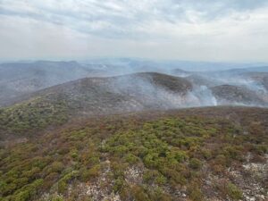 Gobierno estatal despliega operativo aire-tierra para contener incendio forestal en Cohetzala