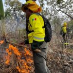 Coordinación interinstitucional logra sofocar incendio forestal sin daños a población en Cohetzala