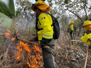 Coordinación interinstitucional logra sofocar incendio forestal sin daños a población en Cohetzala