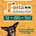 Un amor peludo: Ariadna Ayala invita a la feria de adopción en Atlixco