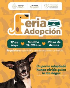 Un amor peludo: Ariadna Ayala invita a la feria de adopción en Atlixco