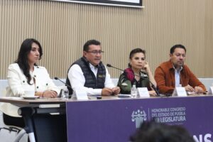 Congreso dará seguimiento a investigación por hechos en Tehuitzingo: Pável Gaspar