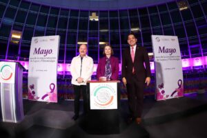 Senadoras y senadores no deben ser indiferentes ante quienes padecen lupus o fibromialgia, sostiene Laura Itzel Castillo