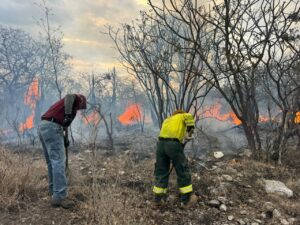 Gobierno Del Estado Continúa Combate De Incendio En La Mixteca