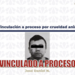 FGE adquiere vinculación a proceso por crueldad animal en Puebla