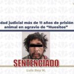 Impone autoridad judicial más de 11 años de prisión por crueldad animal en agravio de “Huesitos”