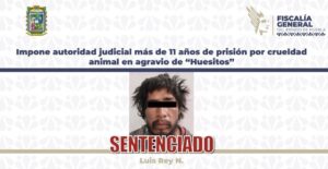 Impone autoridad judicial más de 11 años de prisión por crueldad animal en agravio de “Huesitos”