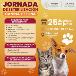 Atlixco impulsa Bienestar Animal; Ariadna Ayala promueve Jornada de Esterilización