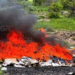 Fuerzas federales incineran 400 kilos de estupefacientes