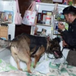 Aseguran más de 300 dosis en Apizaco